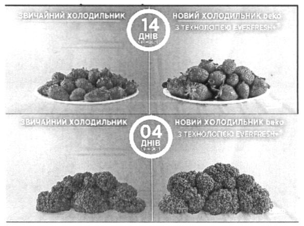 новий холодильник beko з технологією everfresh+