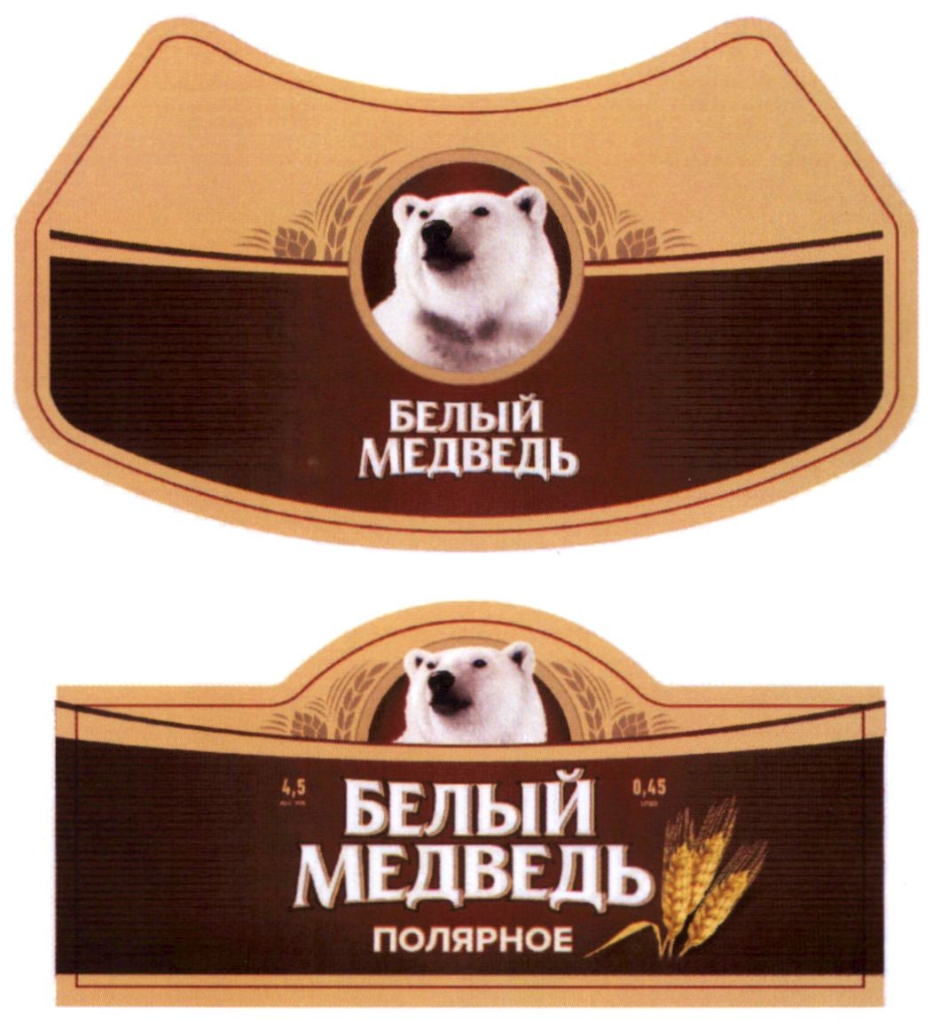 белый медведь полярное