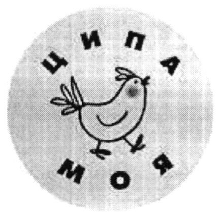 ципа моя