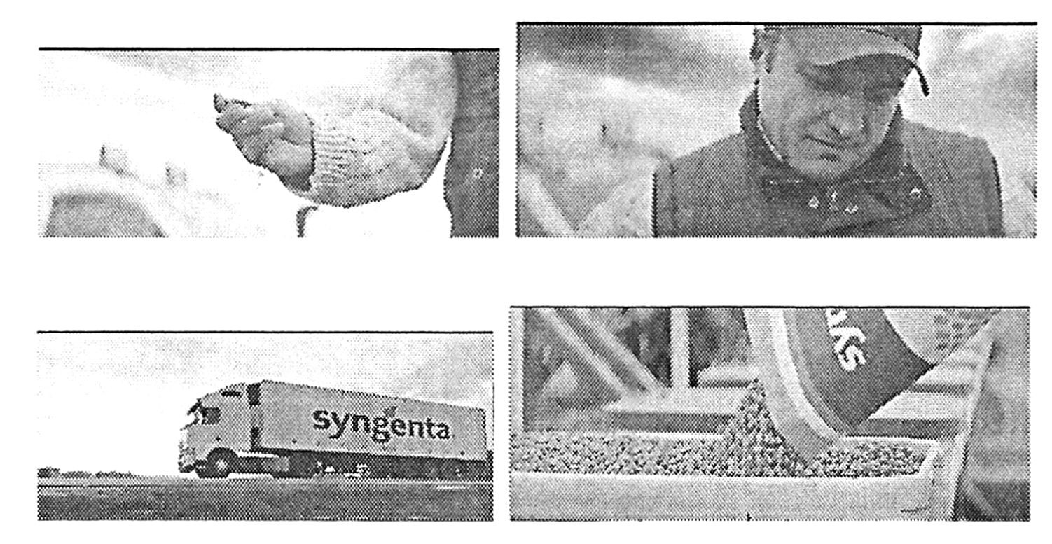 syngenta