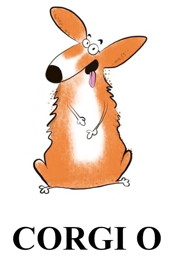 corgi o