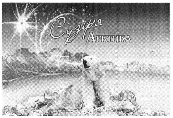 сузір'я арктика