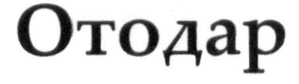отодар