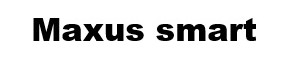 maxus smart