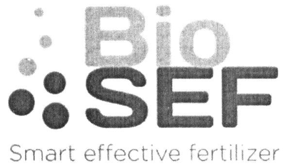 smart effective fertilizer