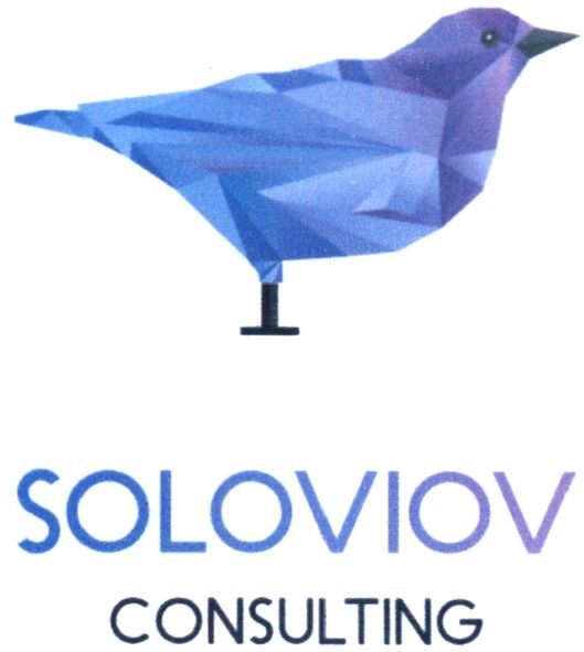 soloviov consulting