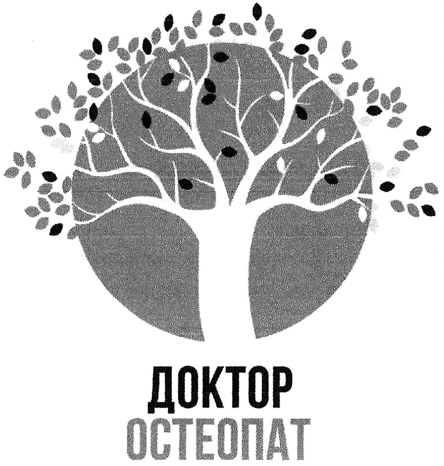 доктор остеопат