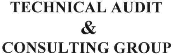 technical audit&consulting group