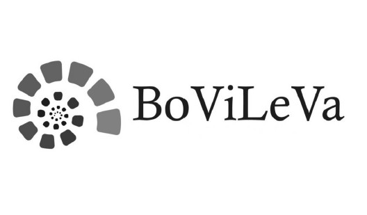 bo vi le va