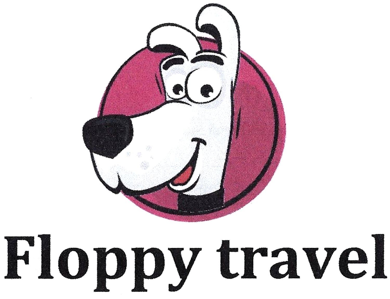 floppy travel