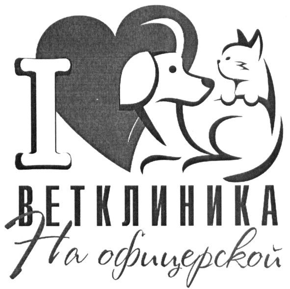 ветклиника на офицерской
