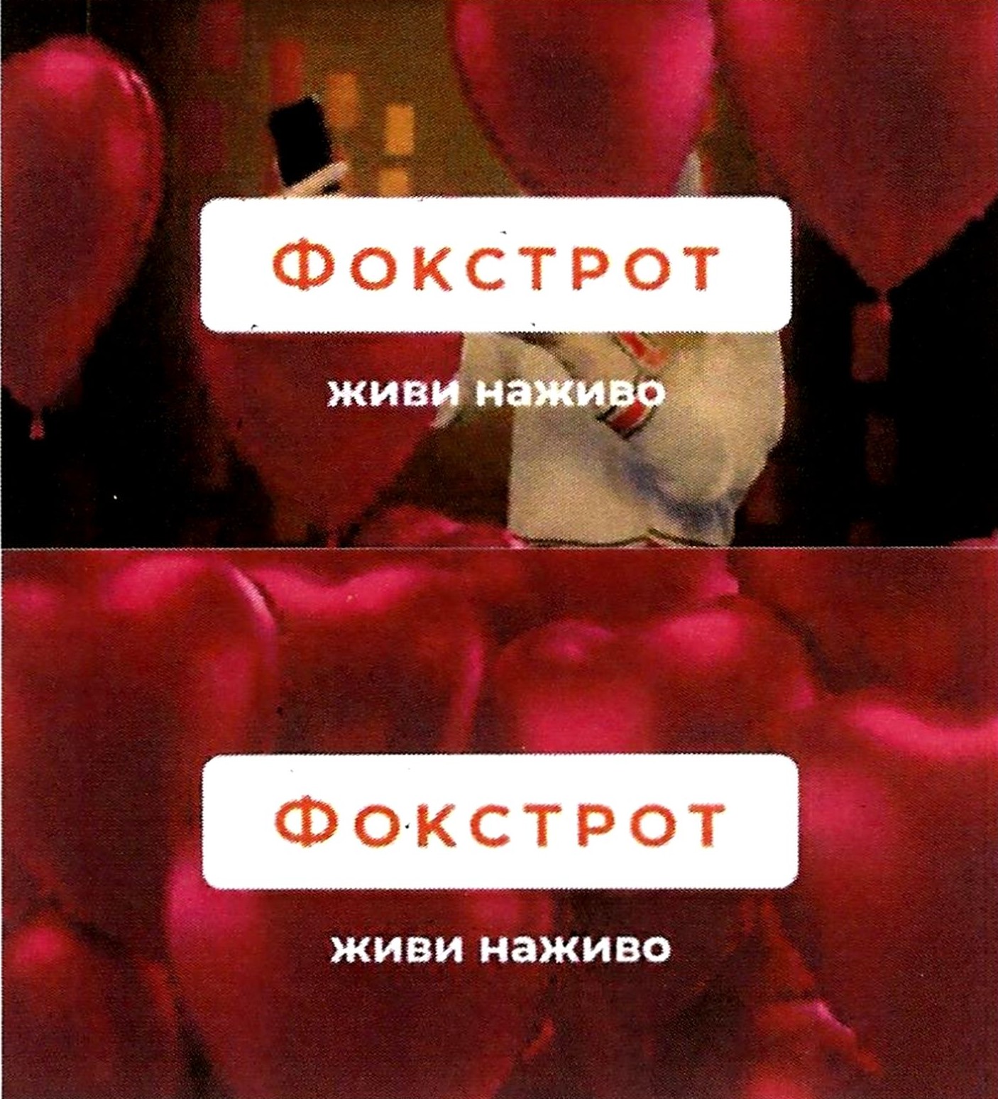 живи наживо