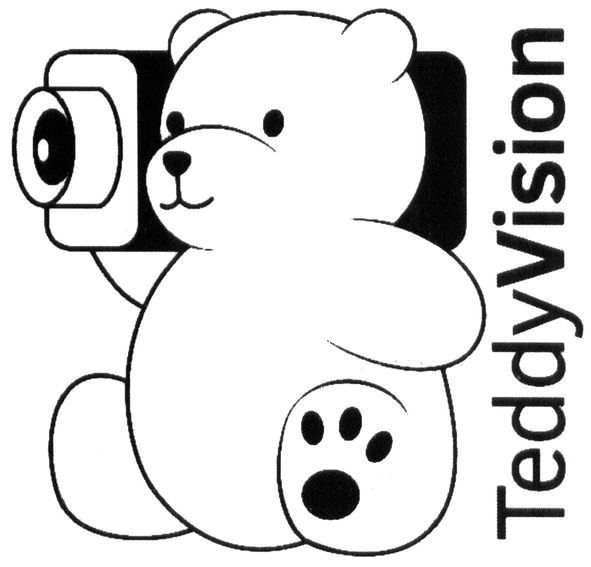 teddy vision