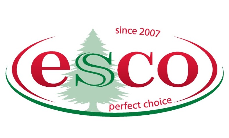 perfect choice