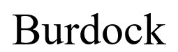 burdock