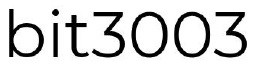 bit 3003