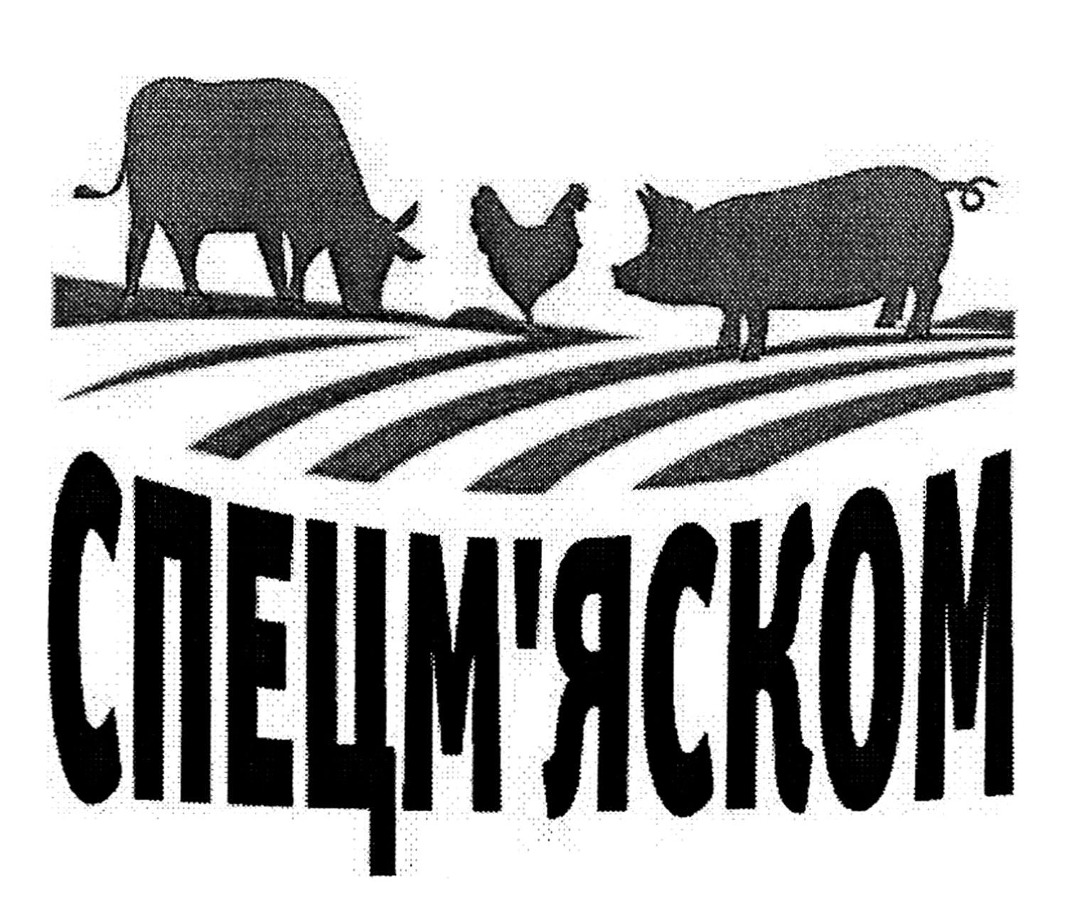 спецм`яском