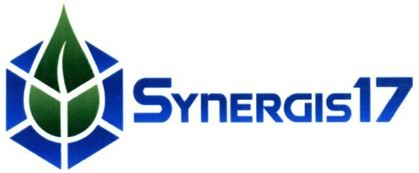 synergis17