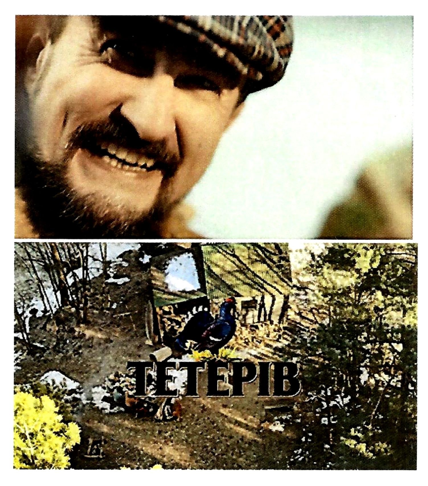 тетерів