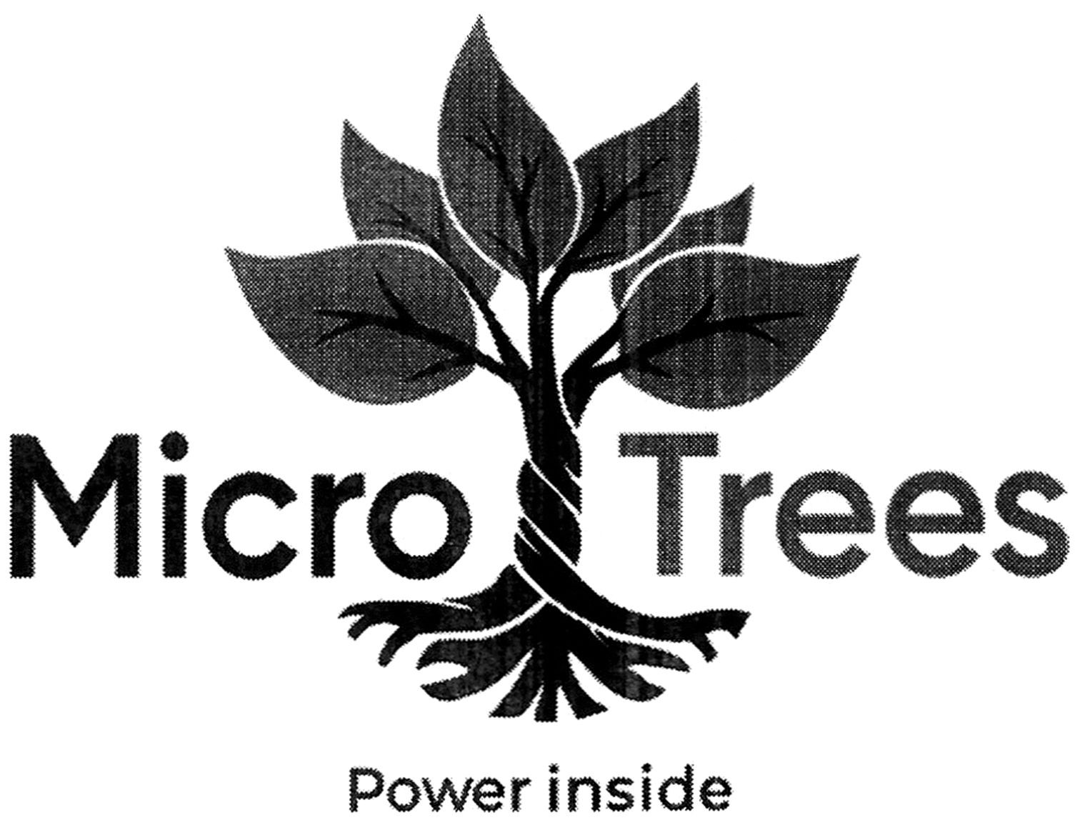 micro trees power inside