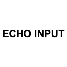 echo input
