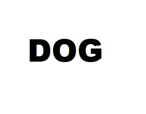 dog