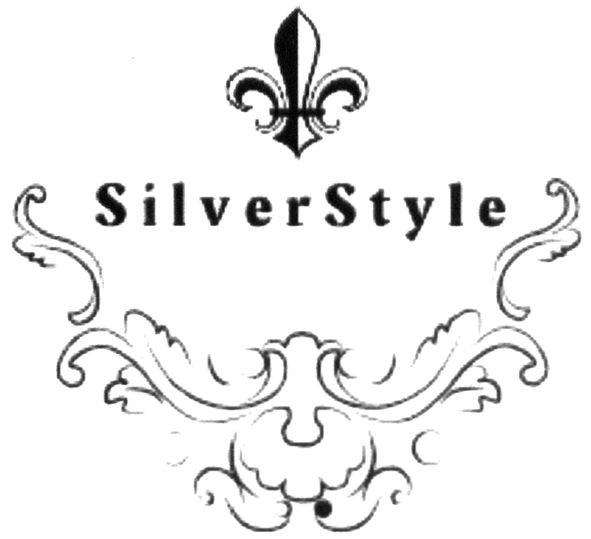 silver style