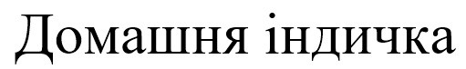 домашня індичка