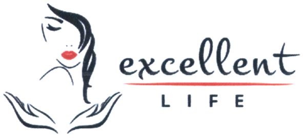 excellent life