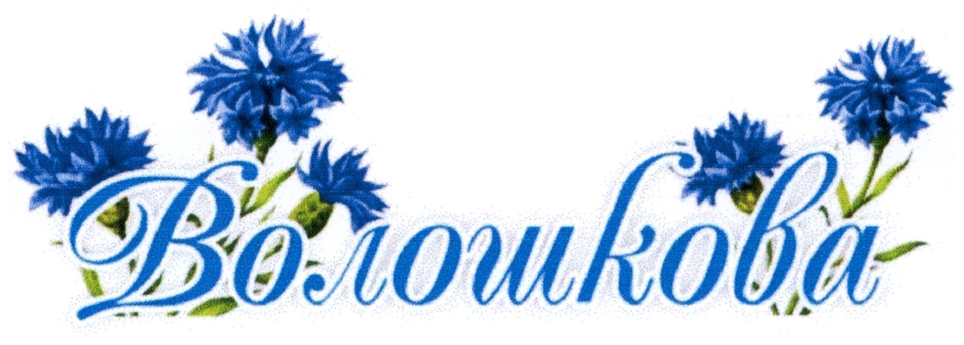 волошкова