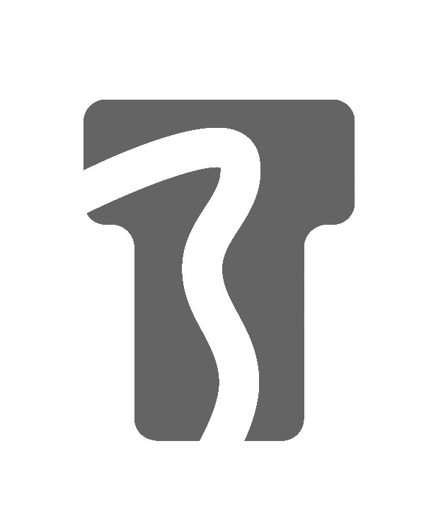 тз
