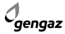gengaz