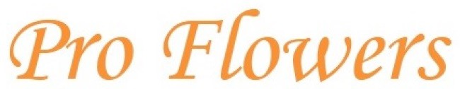 pro flowers