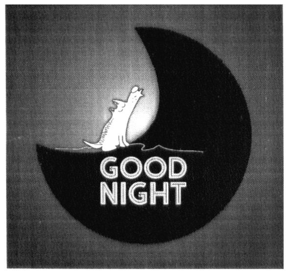good night
