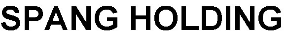 spang holding