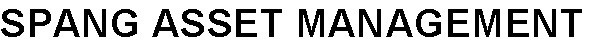 spang asset management