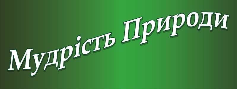 мудрість природи
