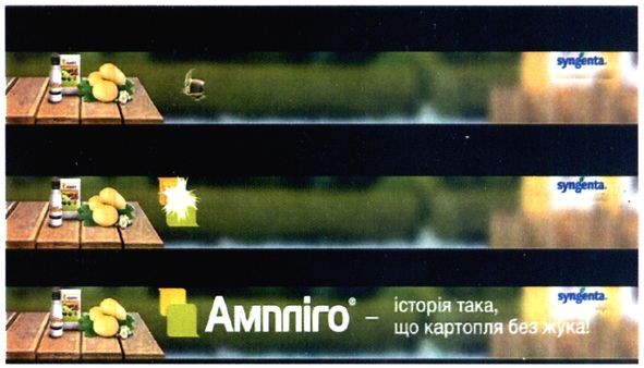 ампліго-історія така, що картопля без жука!