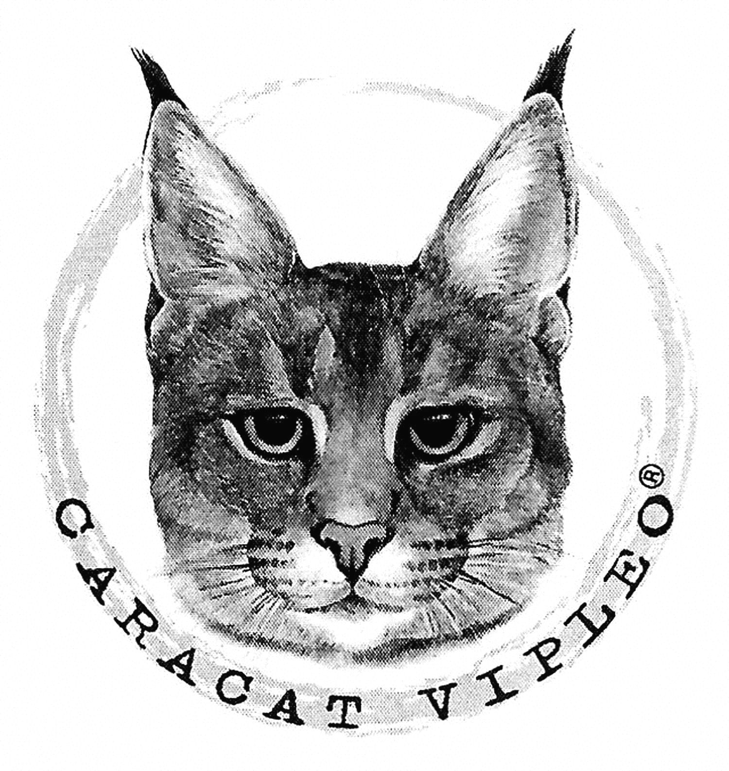caracat vipleo
