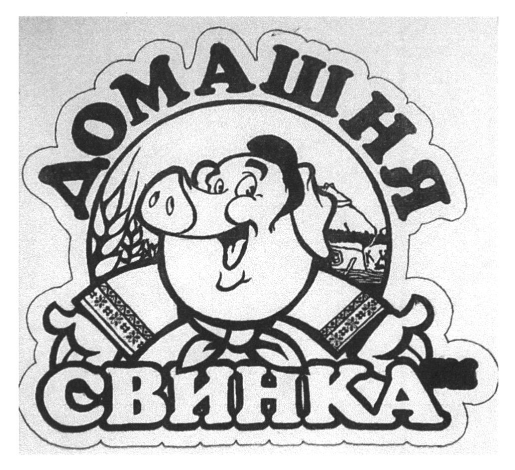 домашня свинка