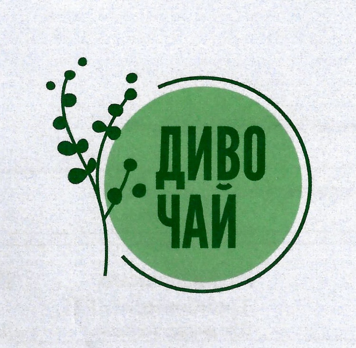 диво чай