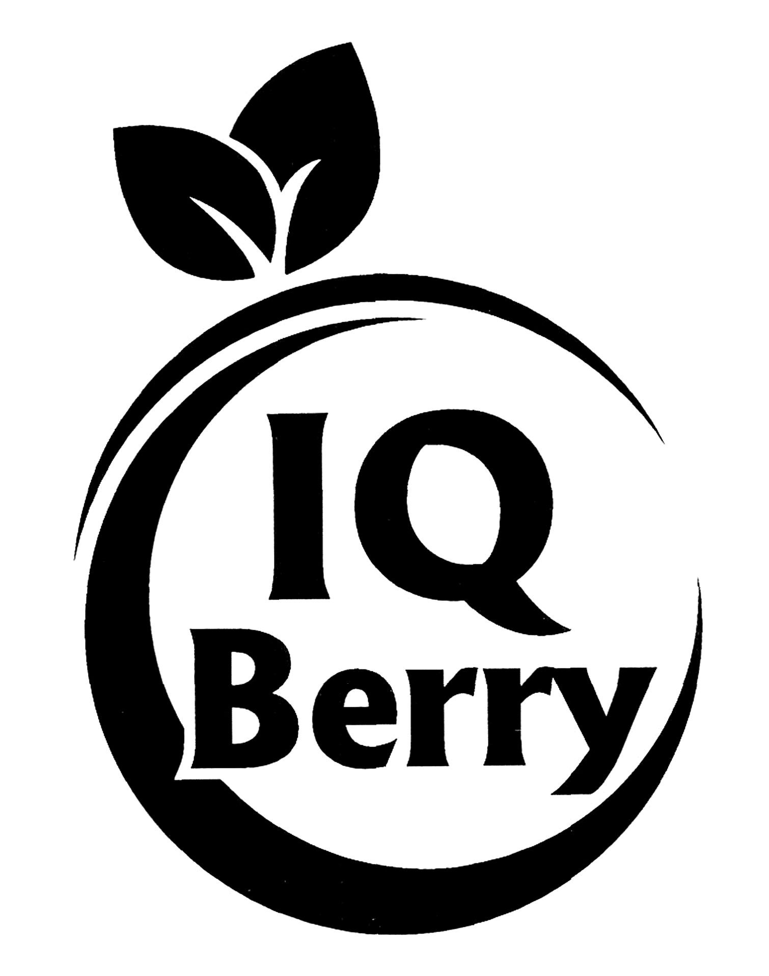 iq berry