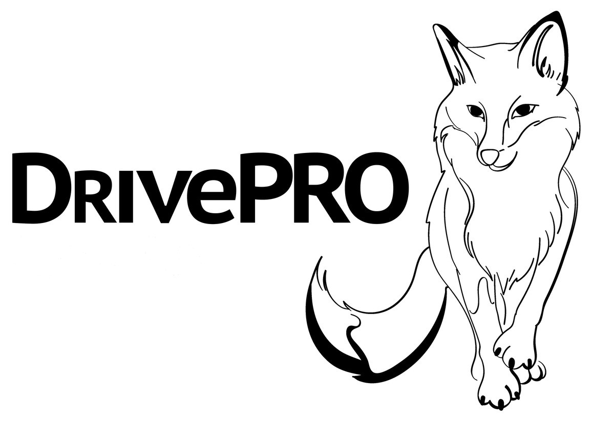 drive pro