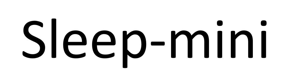 sleep-mini