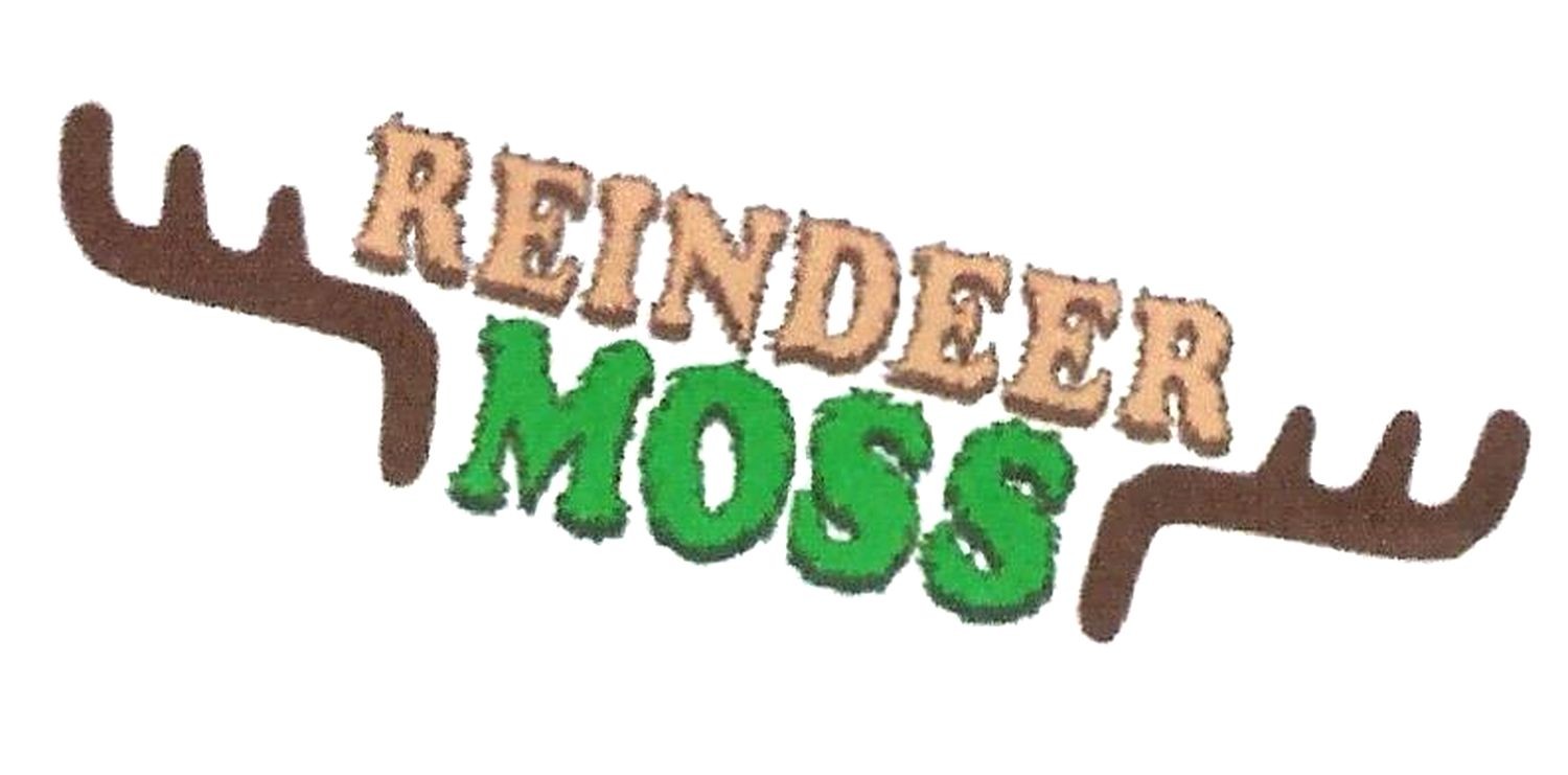 reindeer moss