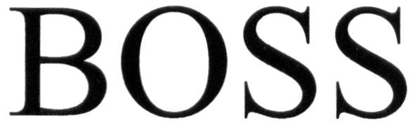 boss