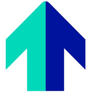 Фігуративна марка № 301382