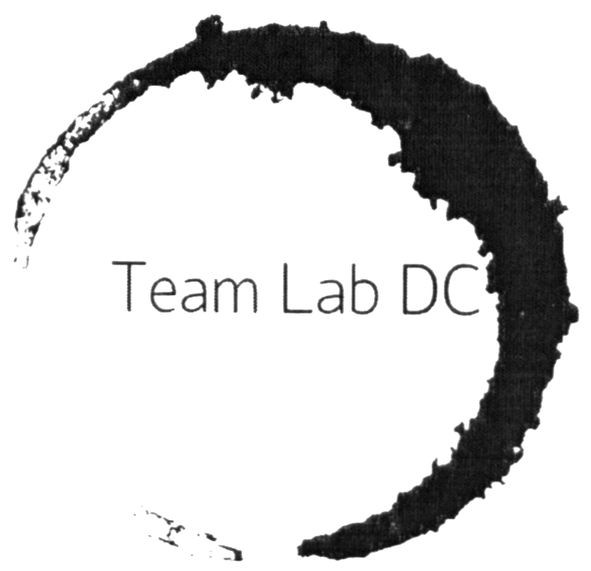 team lab dc