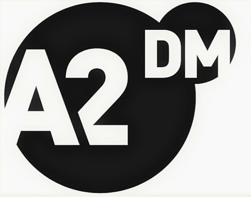 а 2 дм