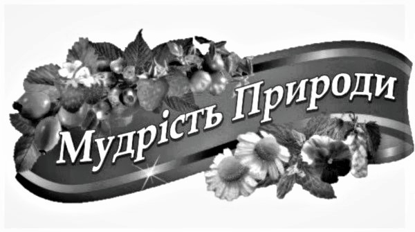 мудрість природи